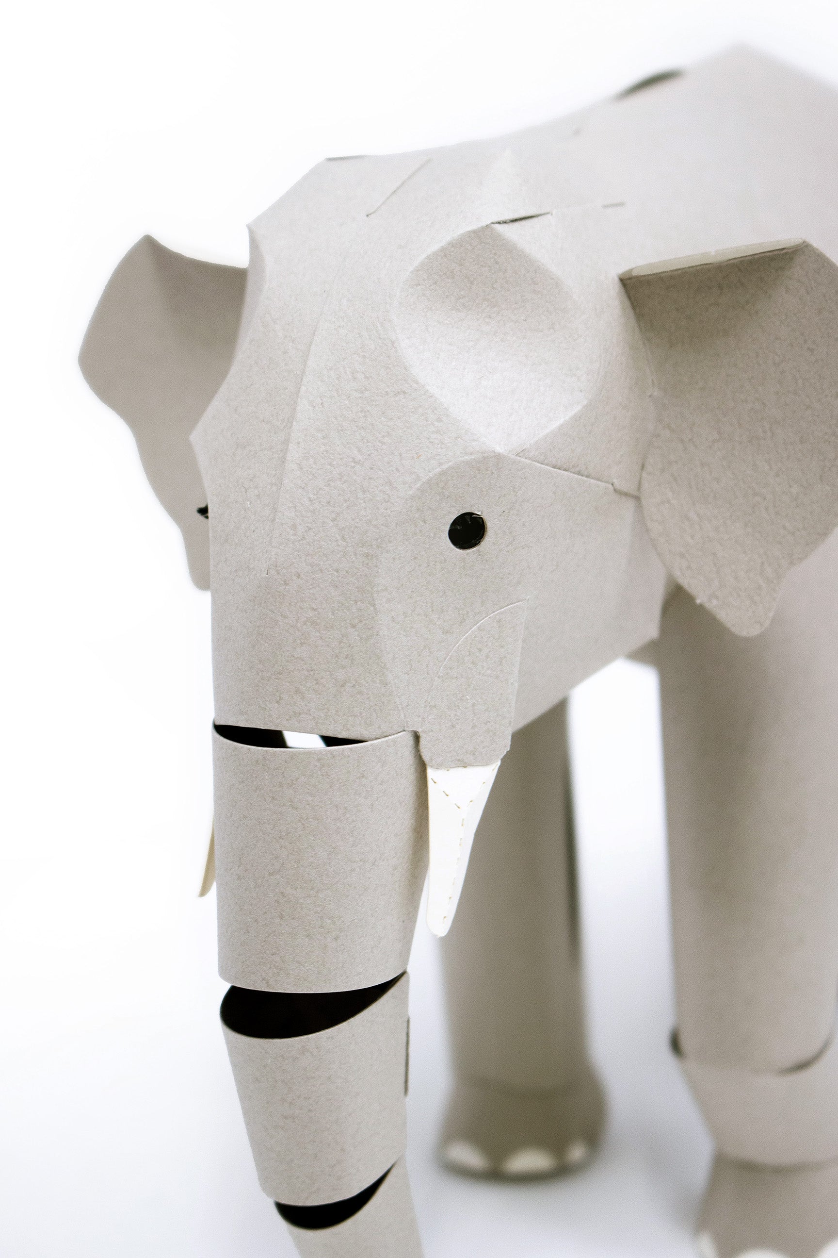 TOP TO TAIL ELEPHANT