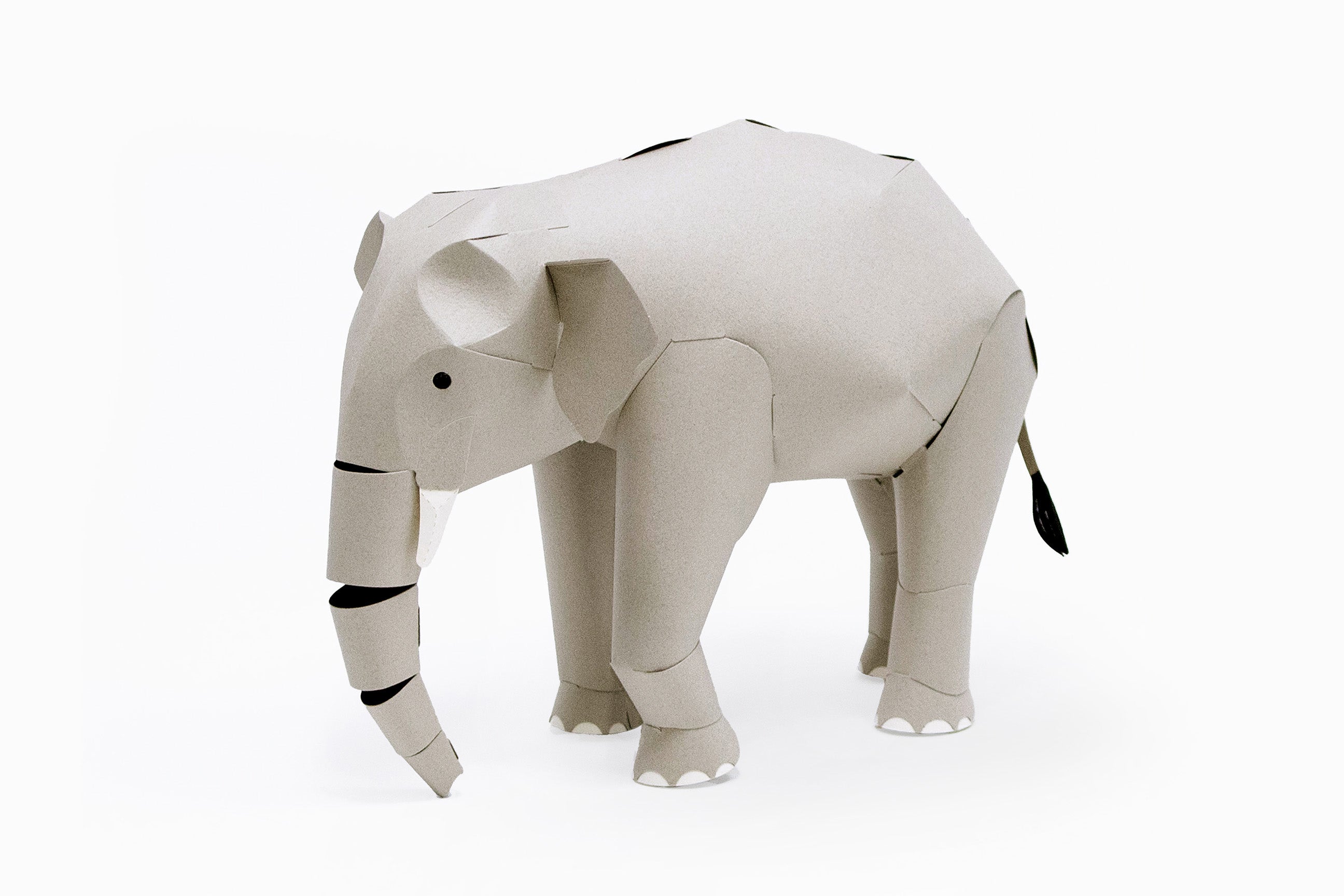 TOP TO TAIL ELEPHANT