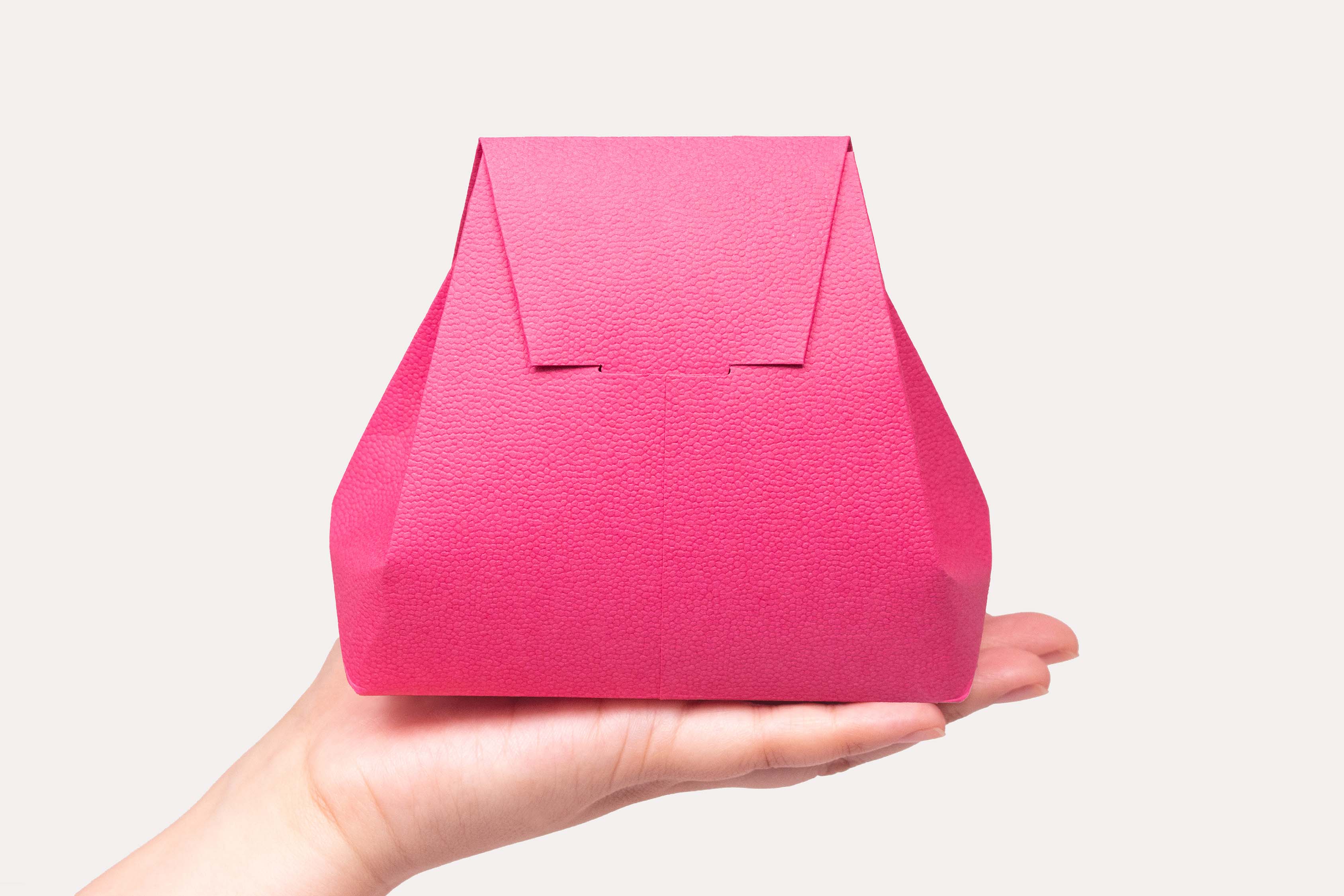 A Paper Bag with the Presence of a Luxury Bag