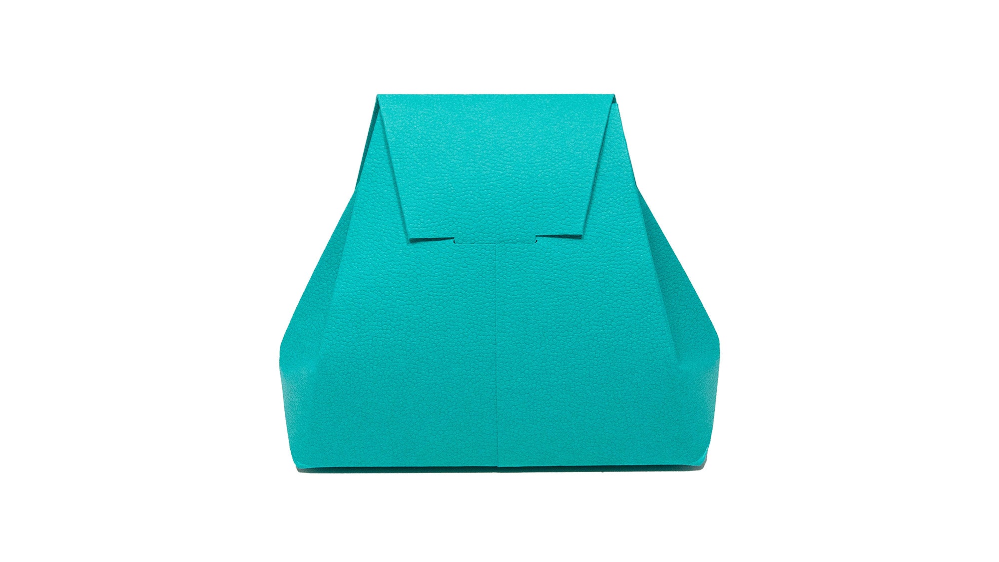 A Paper Bag with the Presence of a Luxury Bag