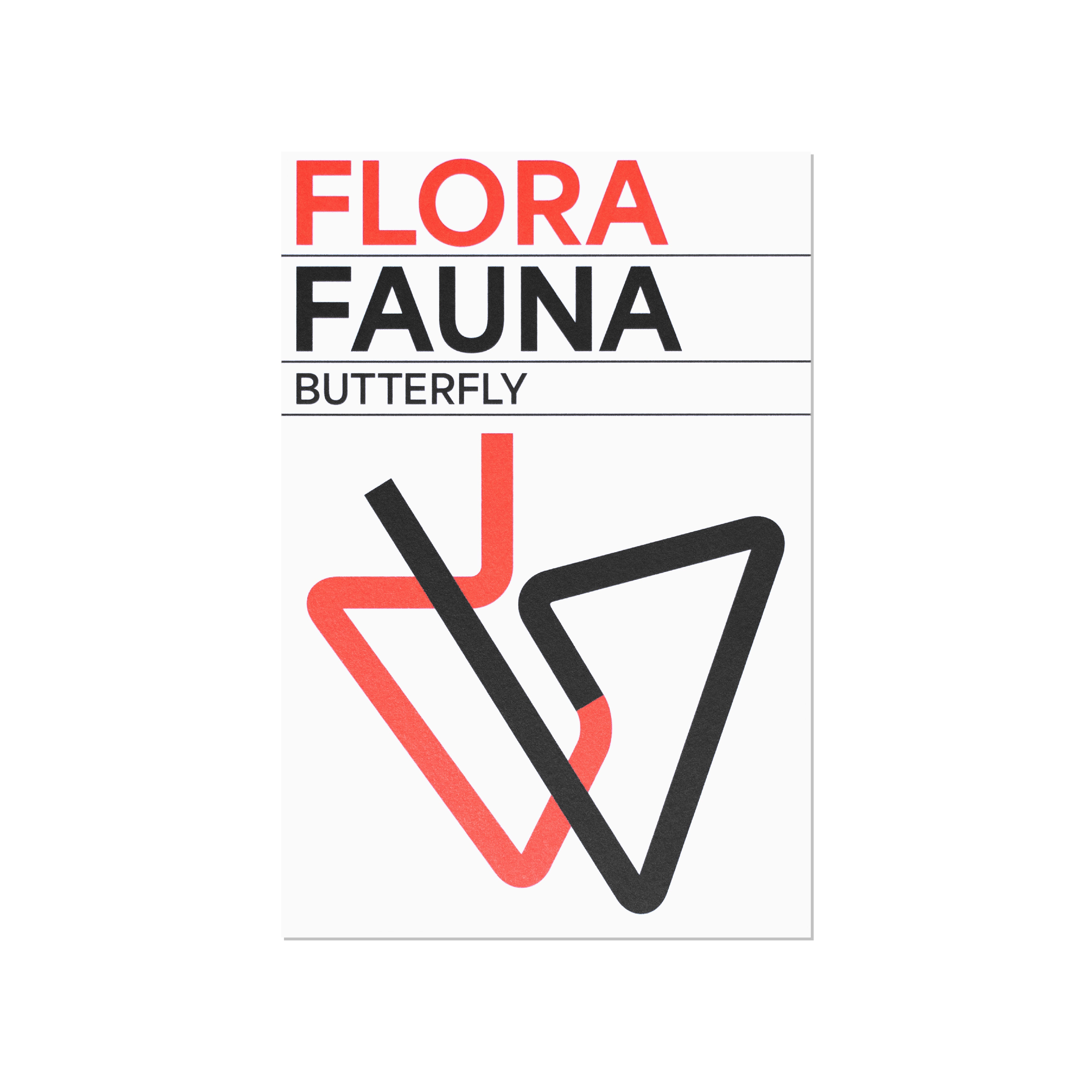 Postcard「FLORA FAUNA」