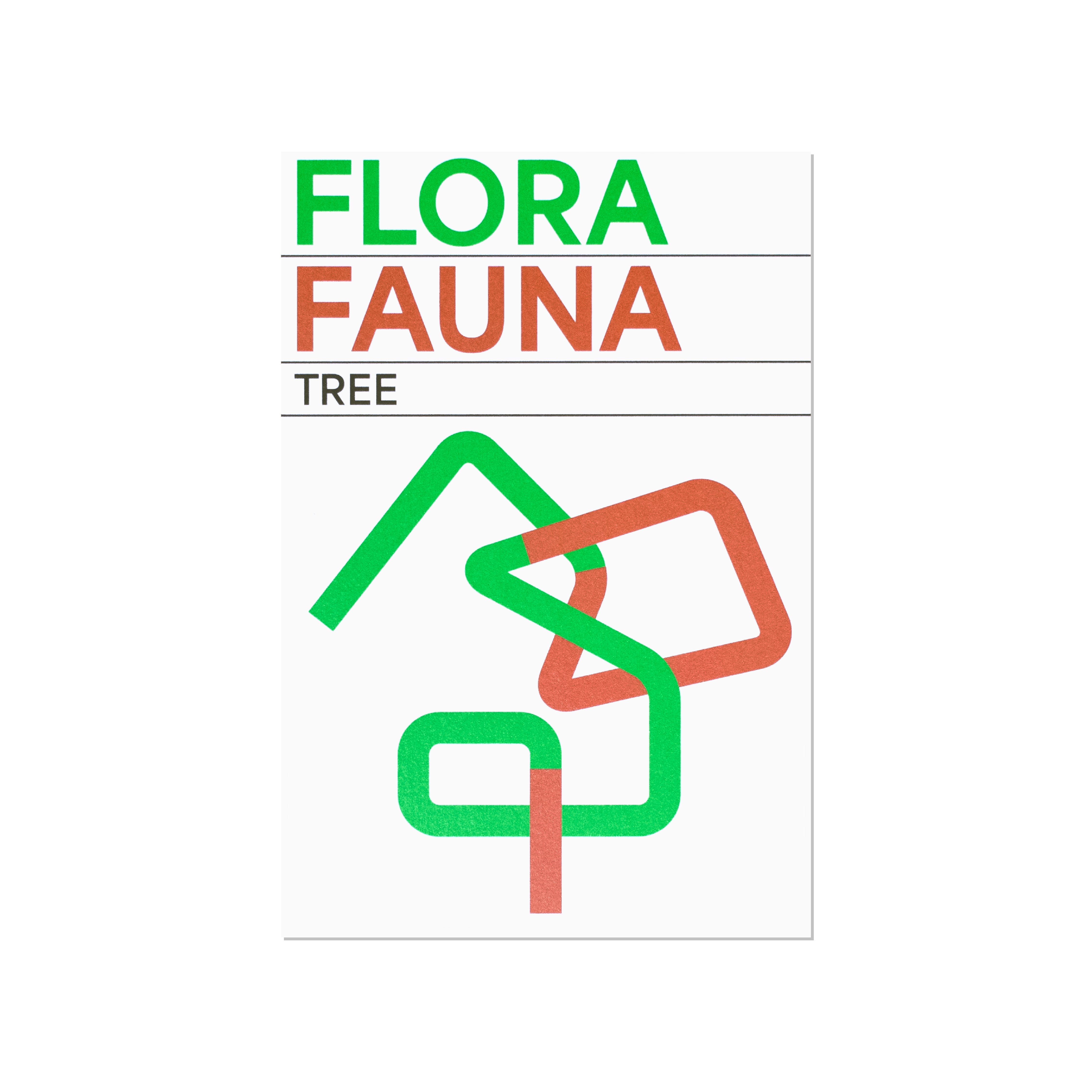 Postcard「FLORA FAUNA」