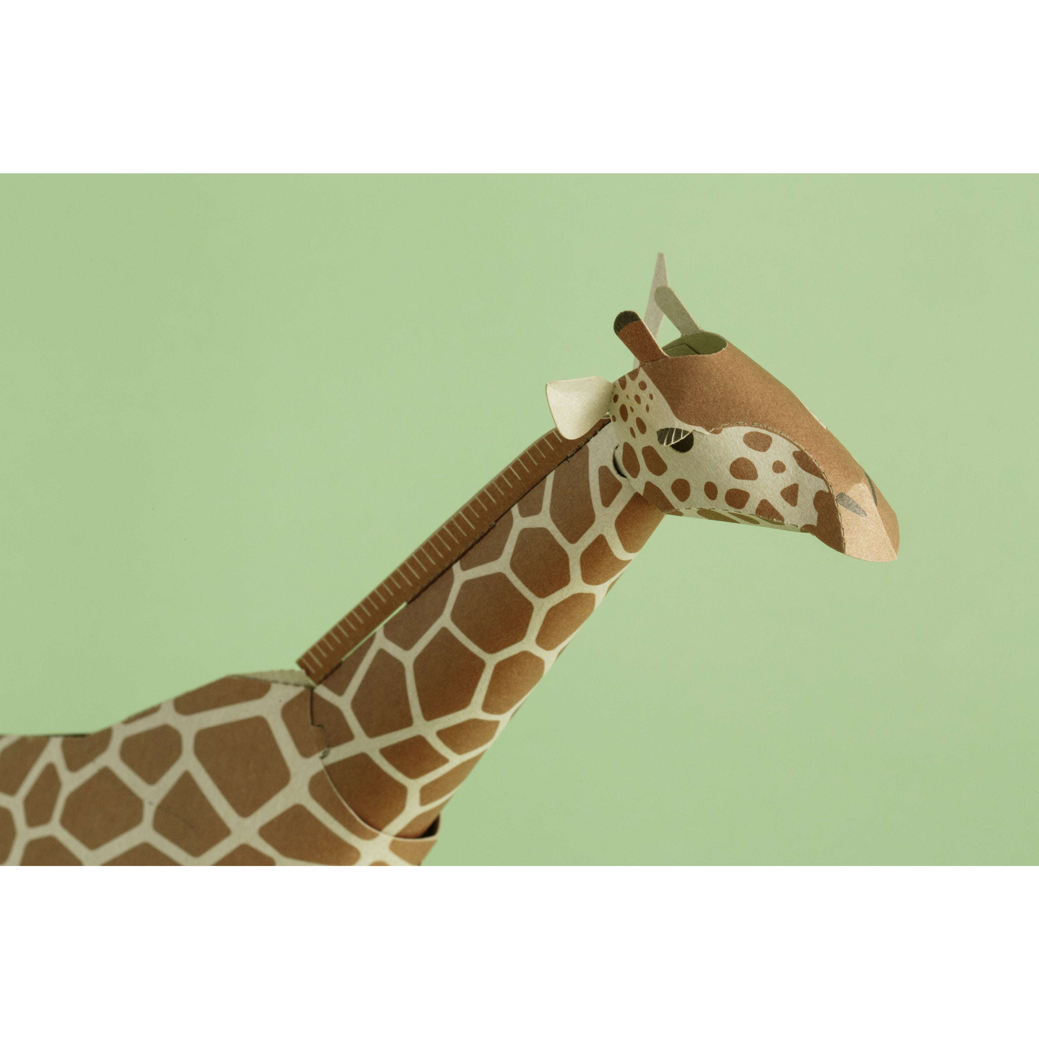 TOP TO TAIL GIRAFFE