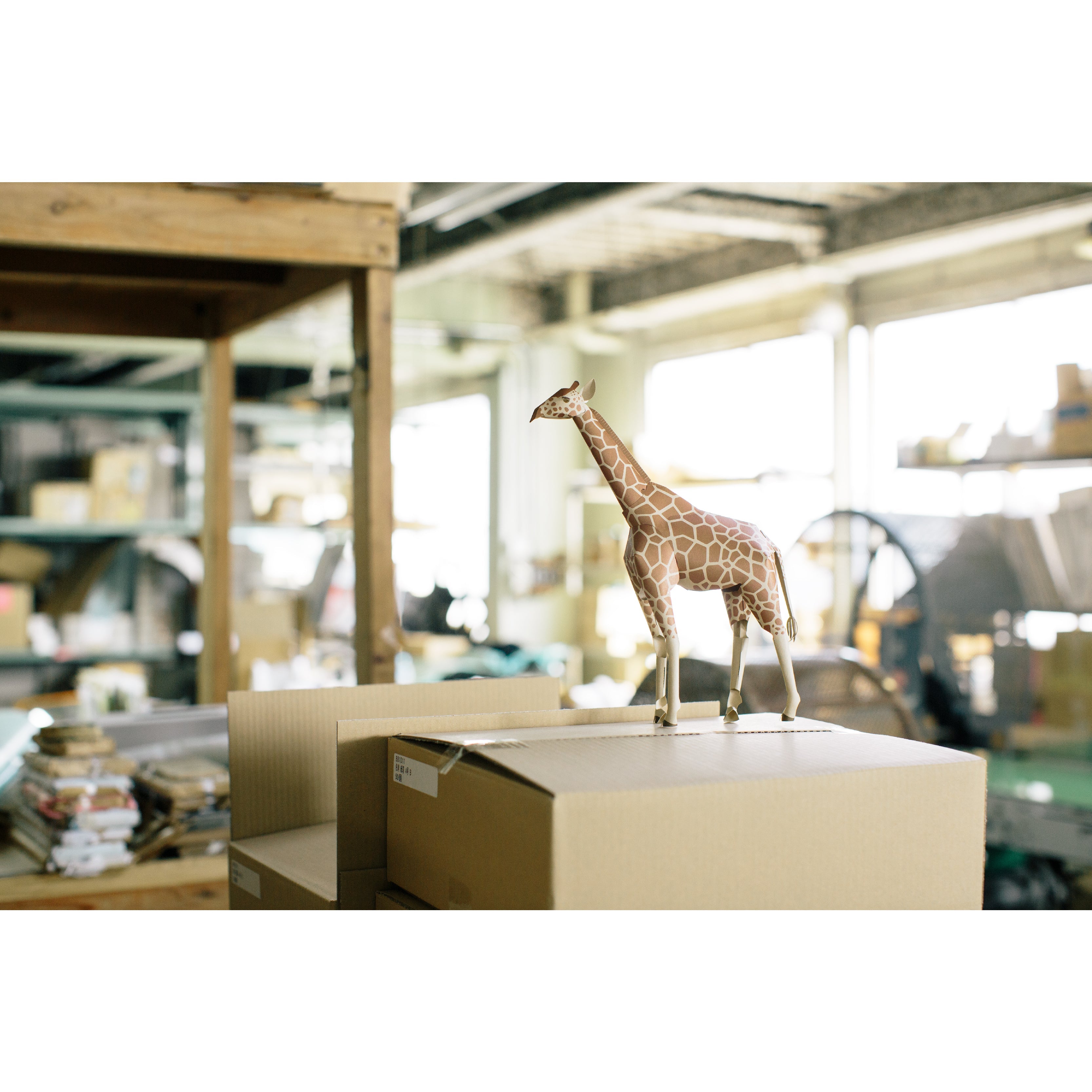 TOP TO TAIL GIRAFFE