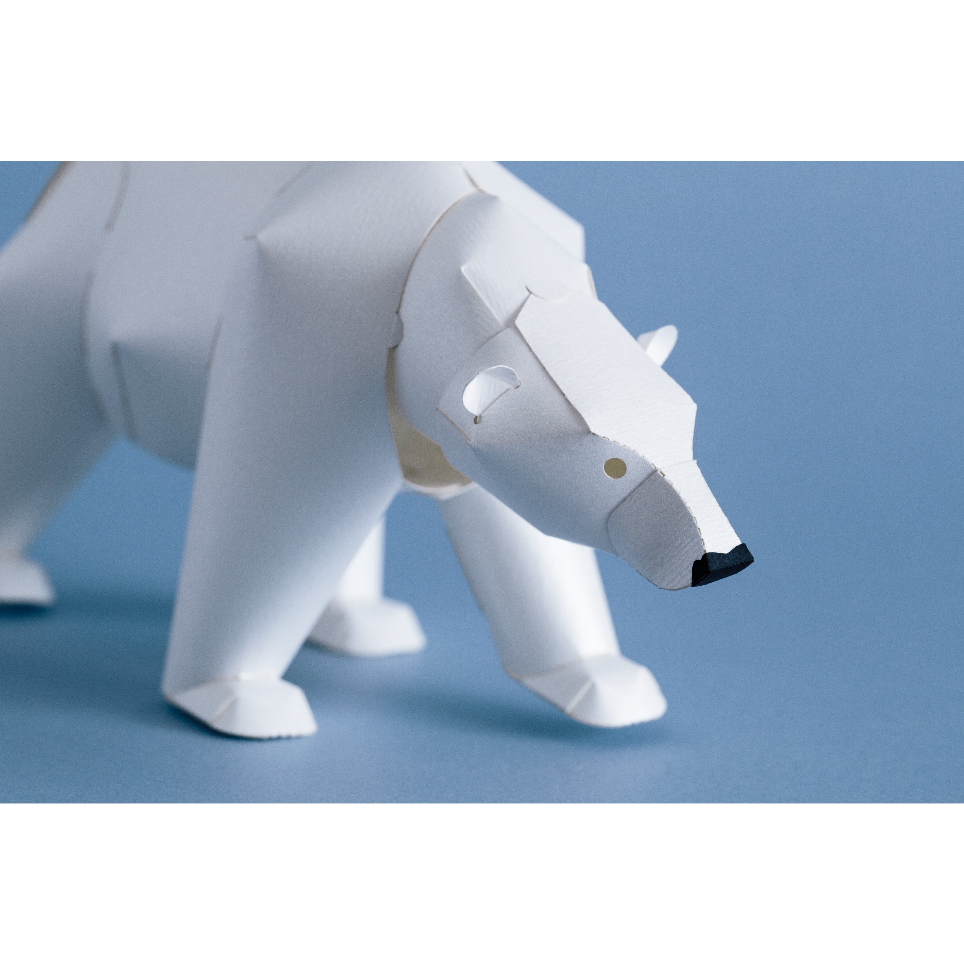 TOP TO TAIL POLAR BEAR