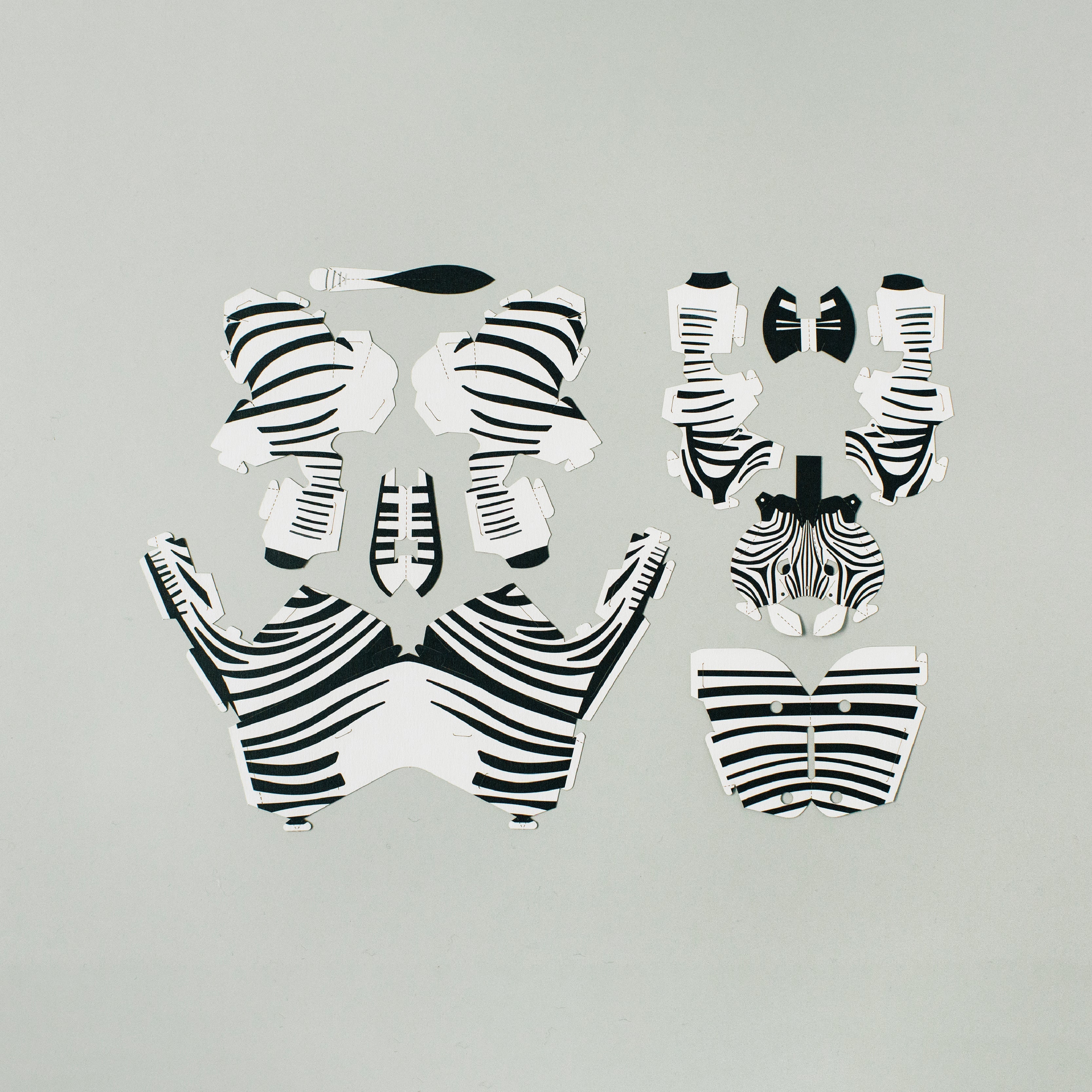TOP TO TAIL ZEBRA