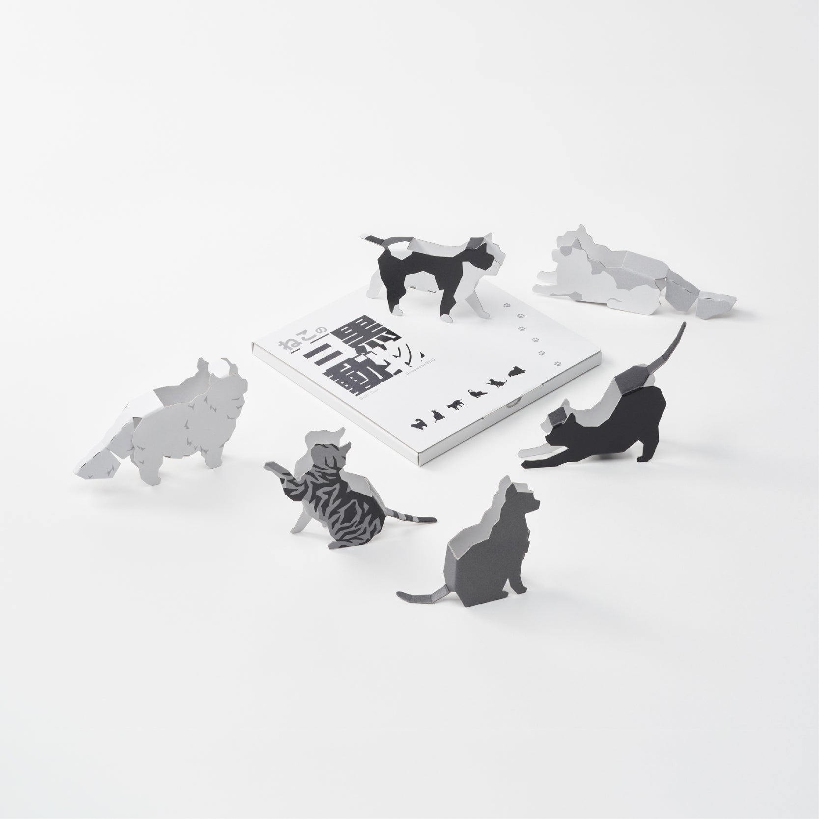 Black & White Cats