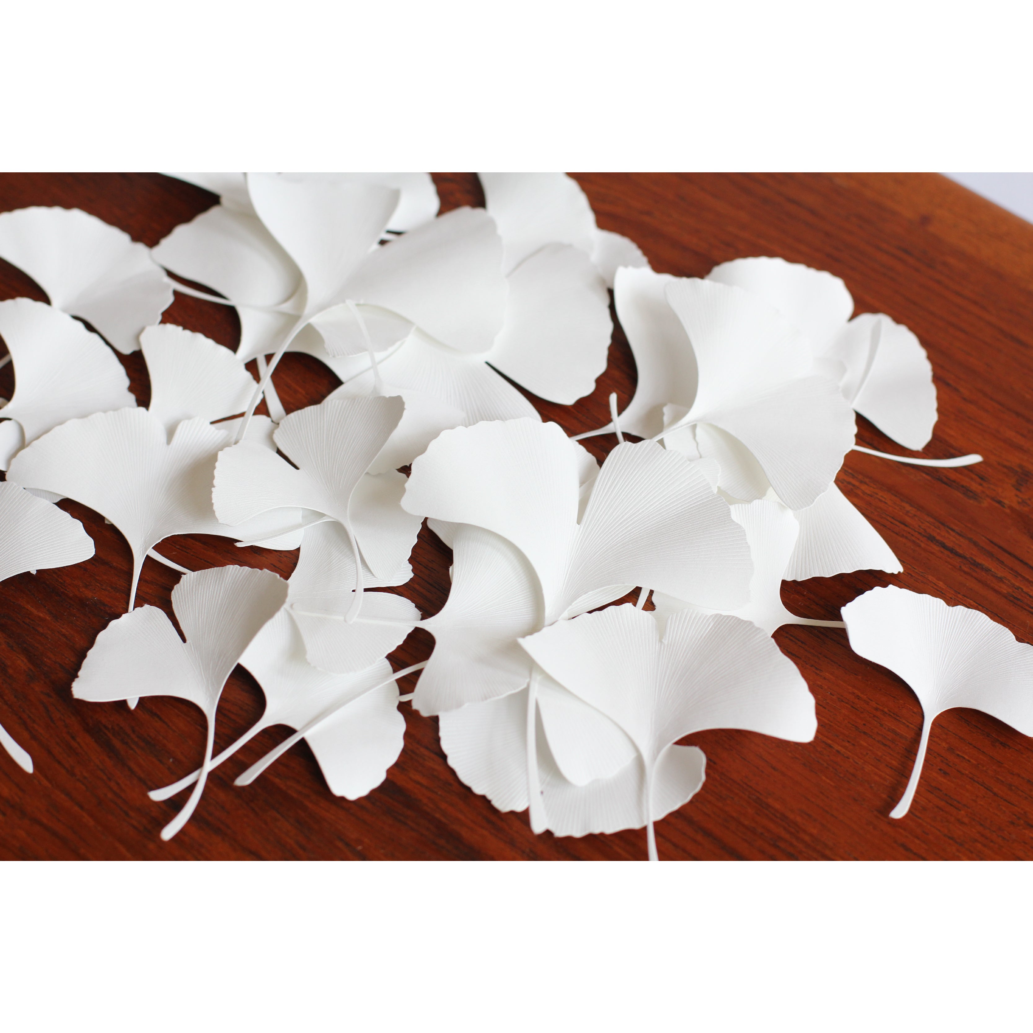 Paper Leaf Ginkgo