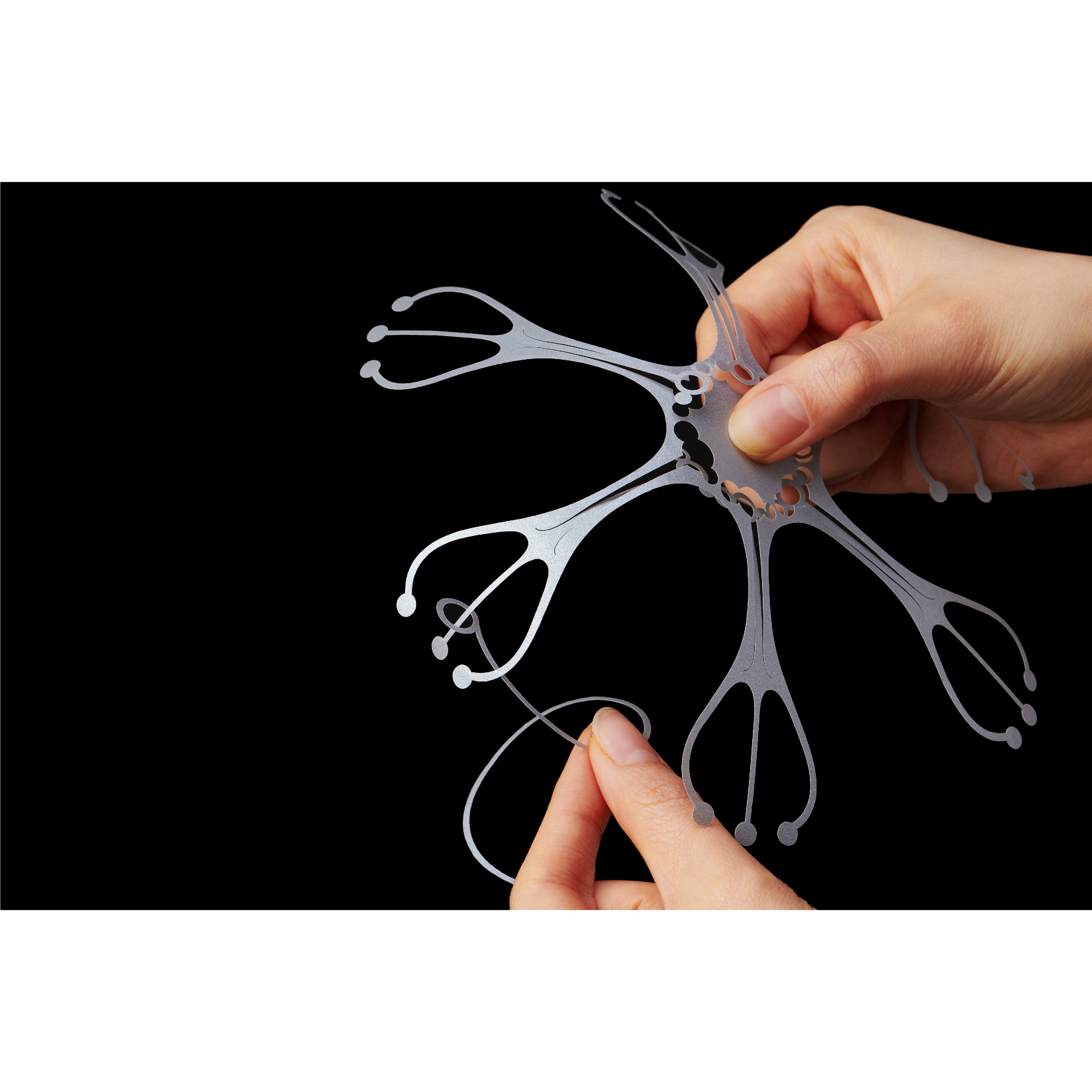 Wind Jelly Fish KURUKURU