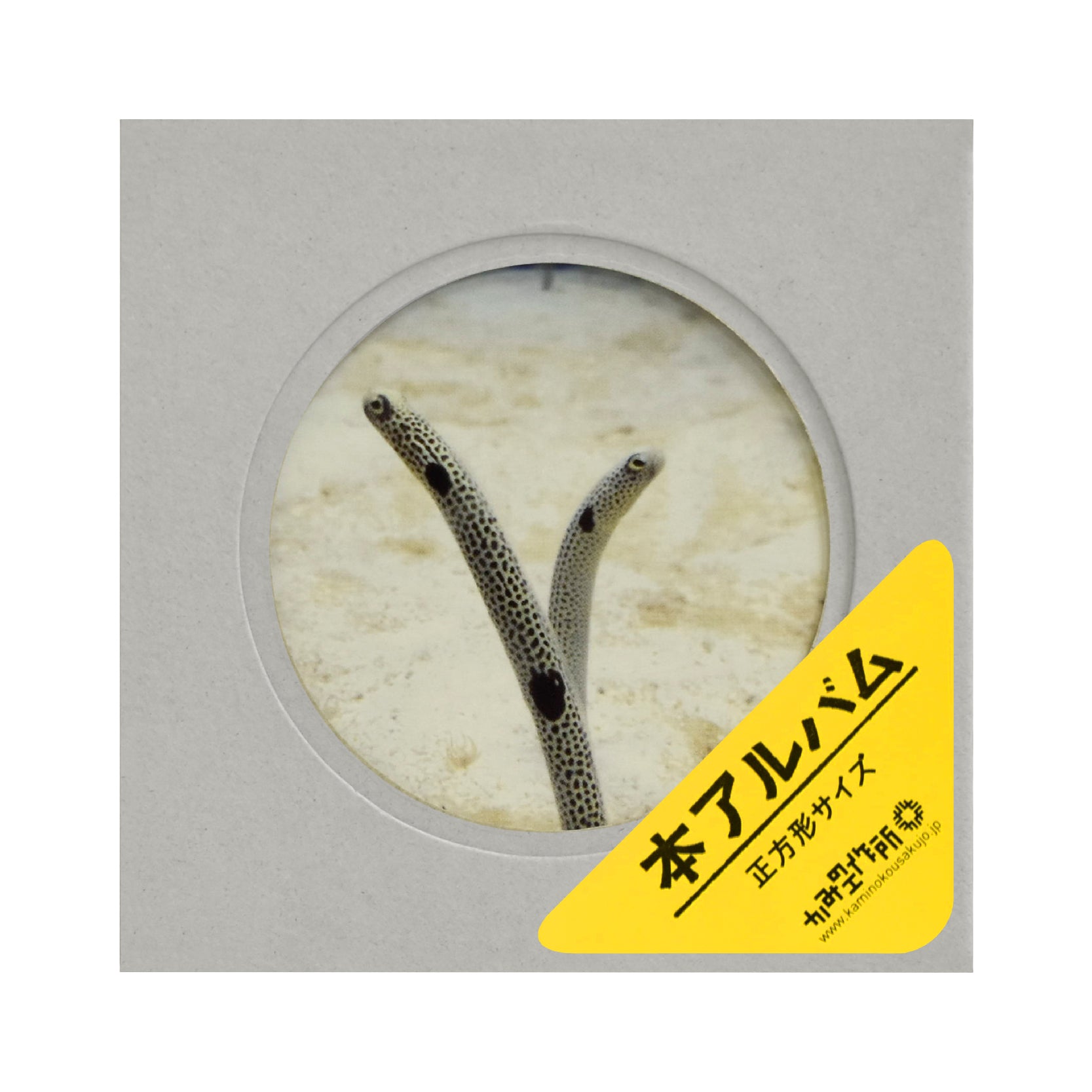 本アルバム 正方形サイズ