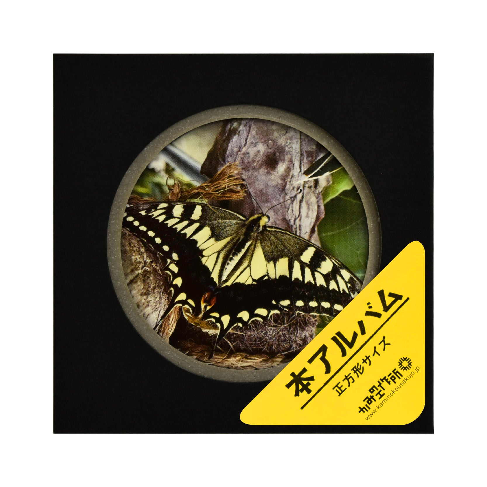 本アルバム 正方形サイズ