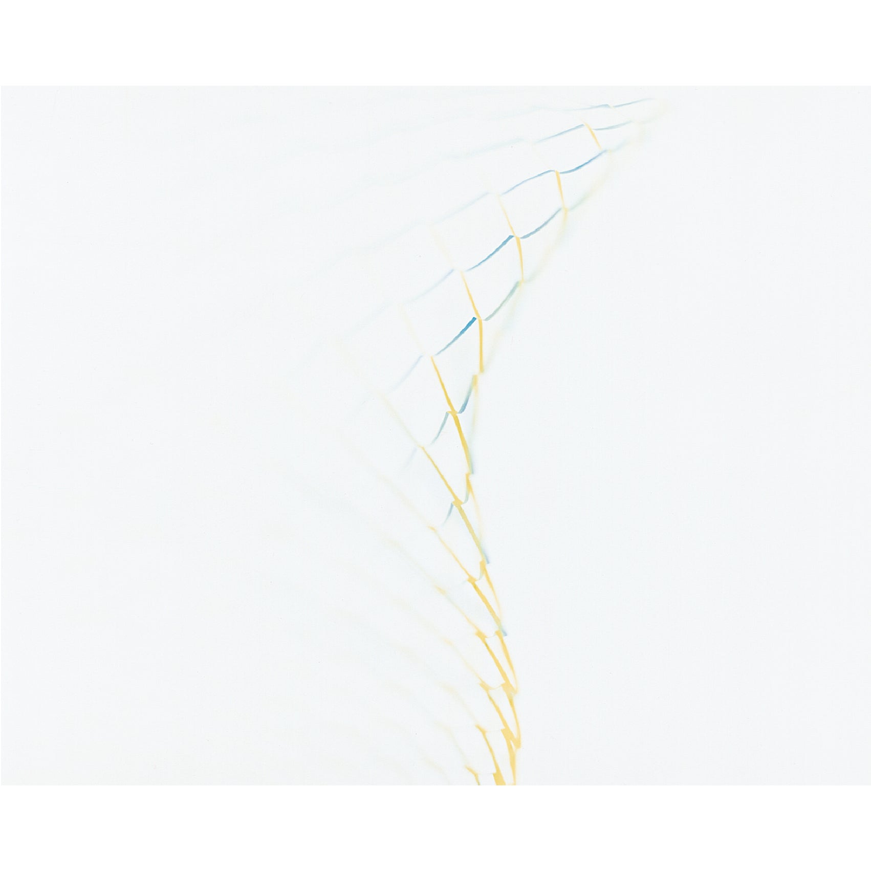 空気の器 YELLOW × BLUE