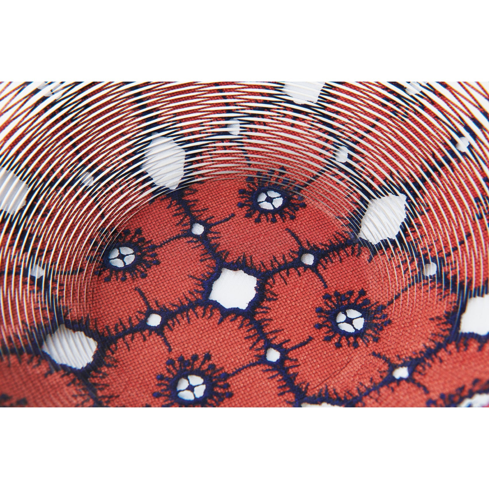 空気の器 tambourine/anemone by minä perhonen