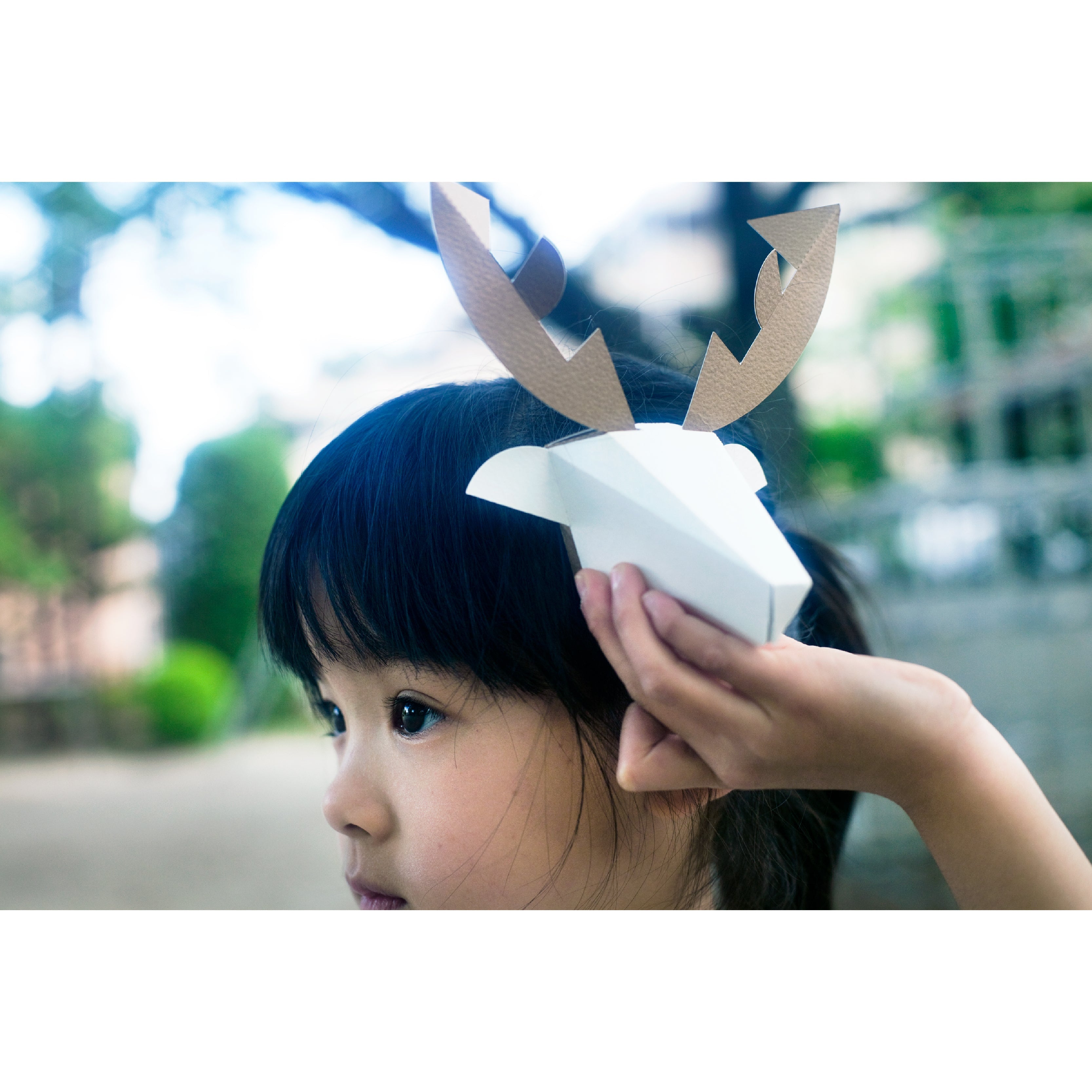 head box deer / シカ