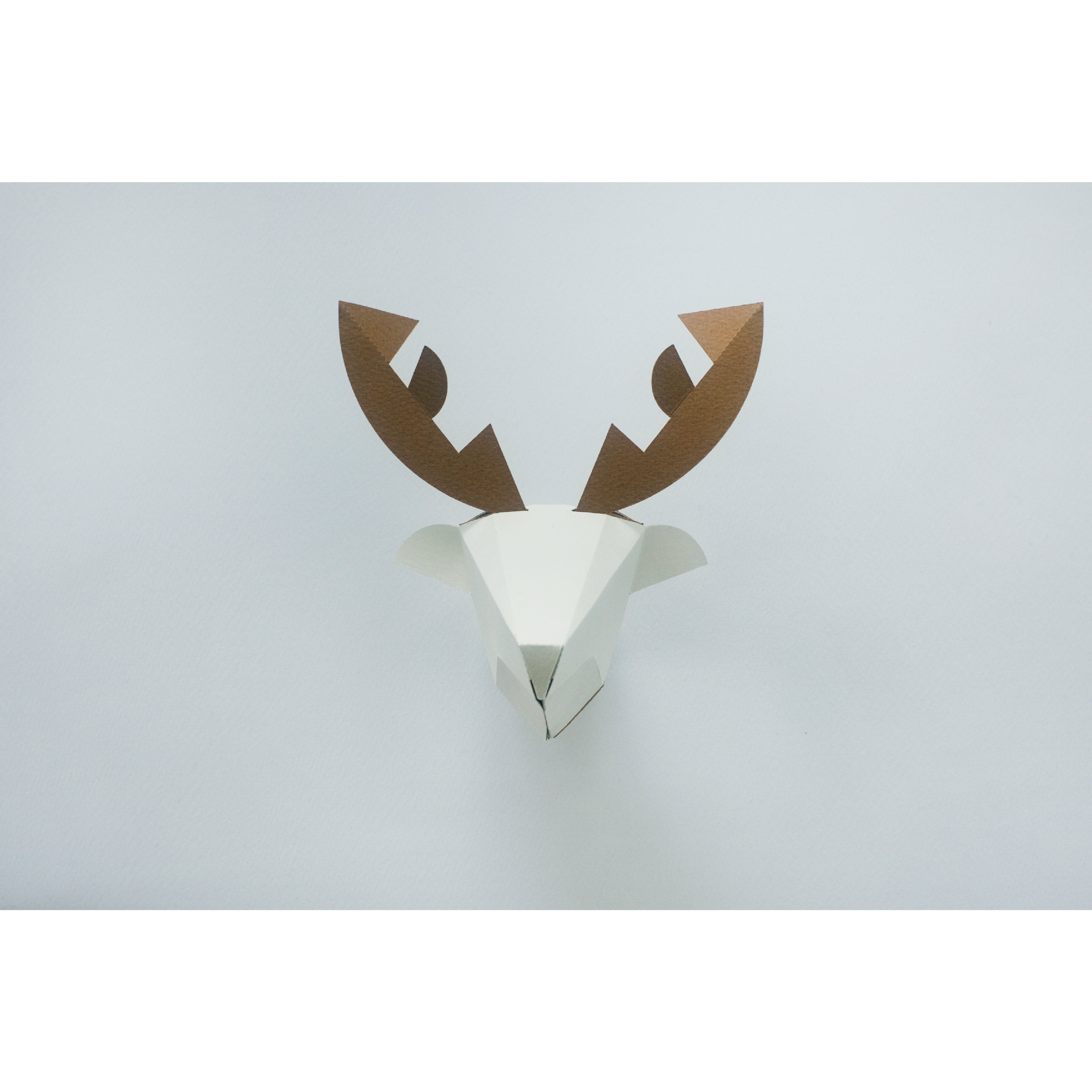 head box deer / シカ