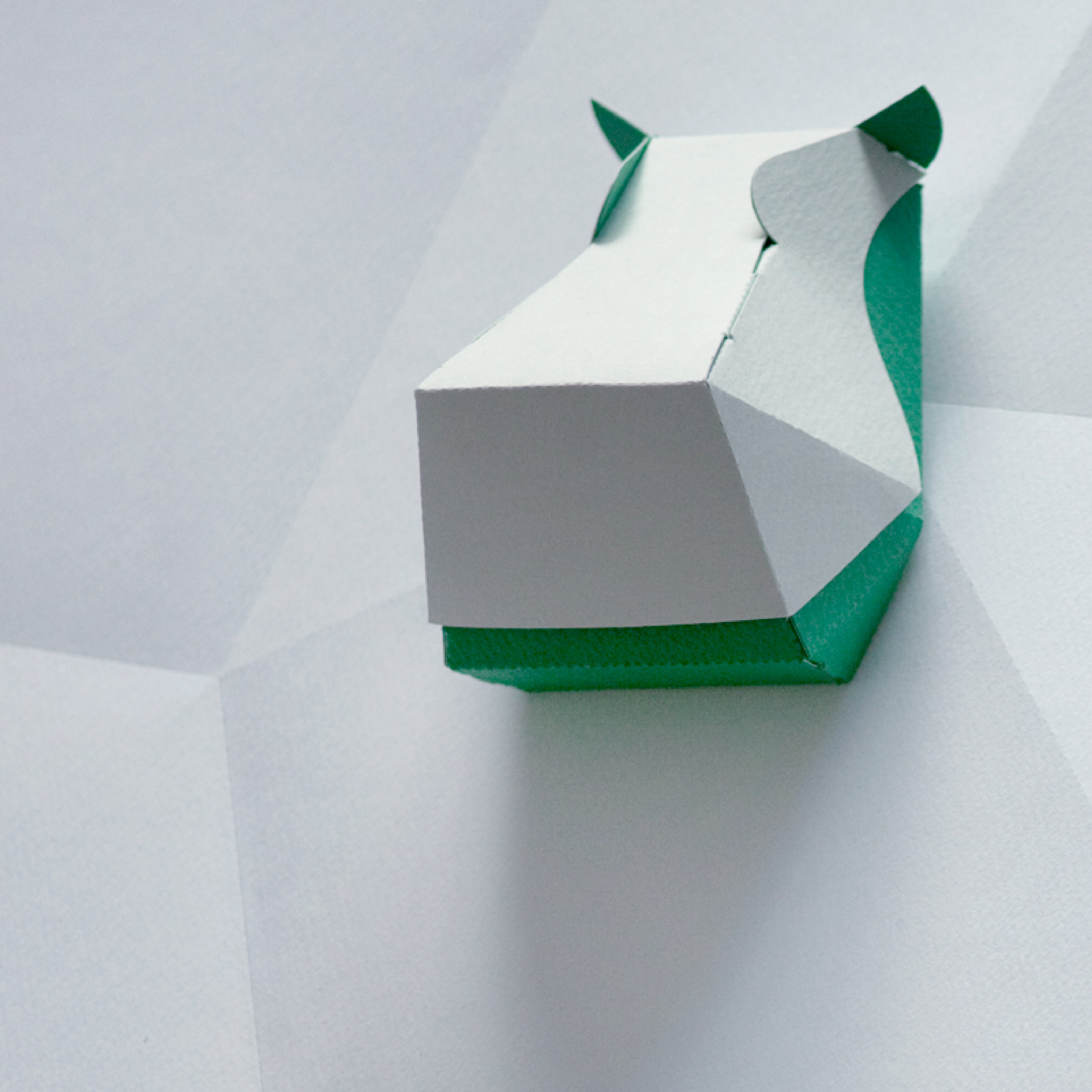 head box hippopotamus / カバ