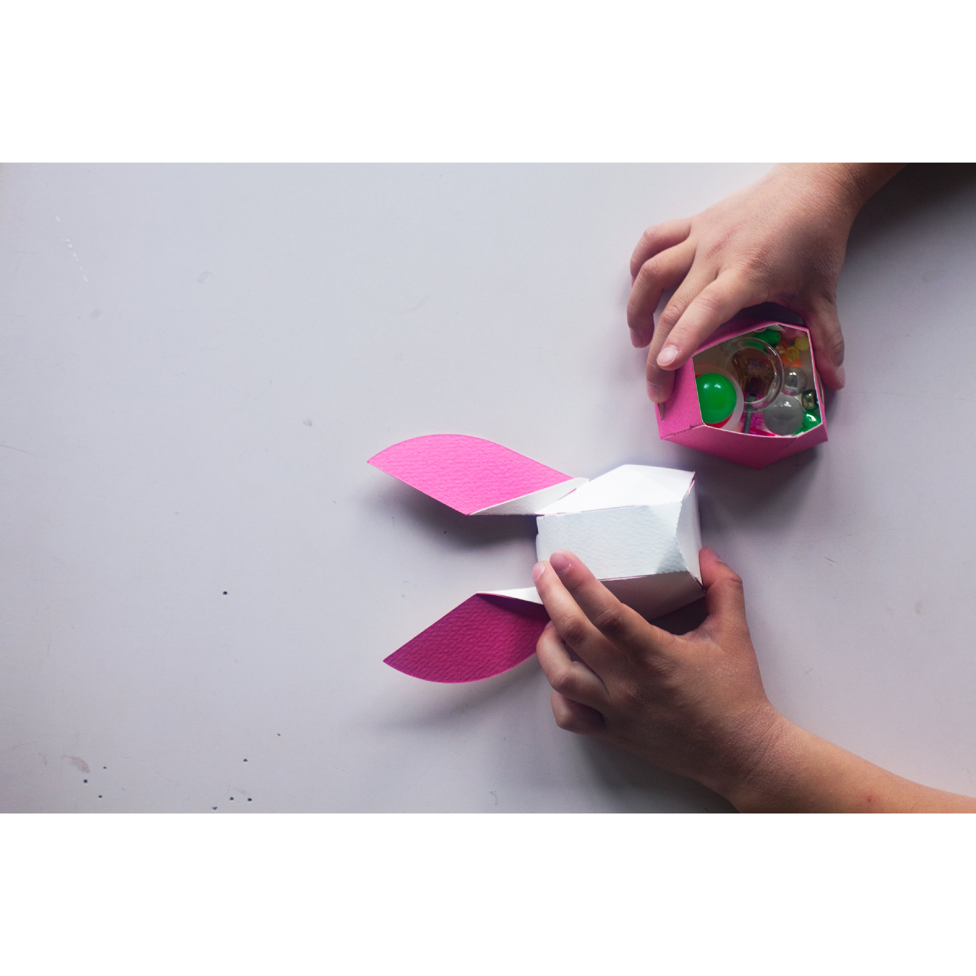 head box rabbit / ウサギ