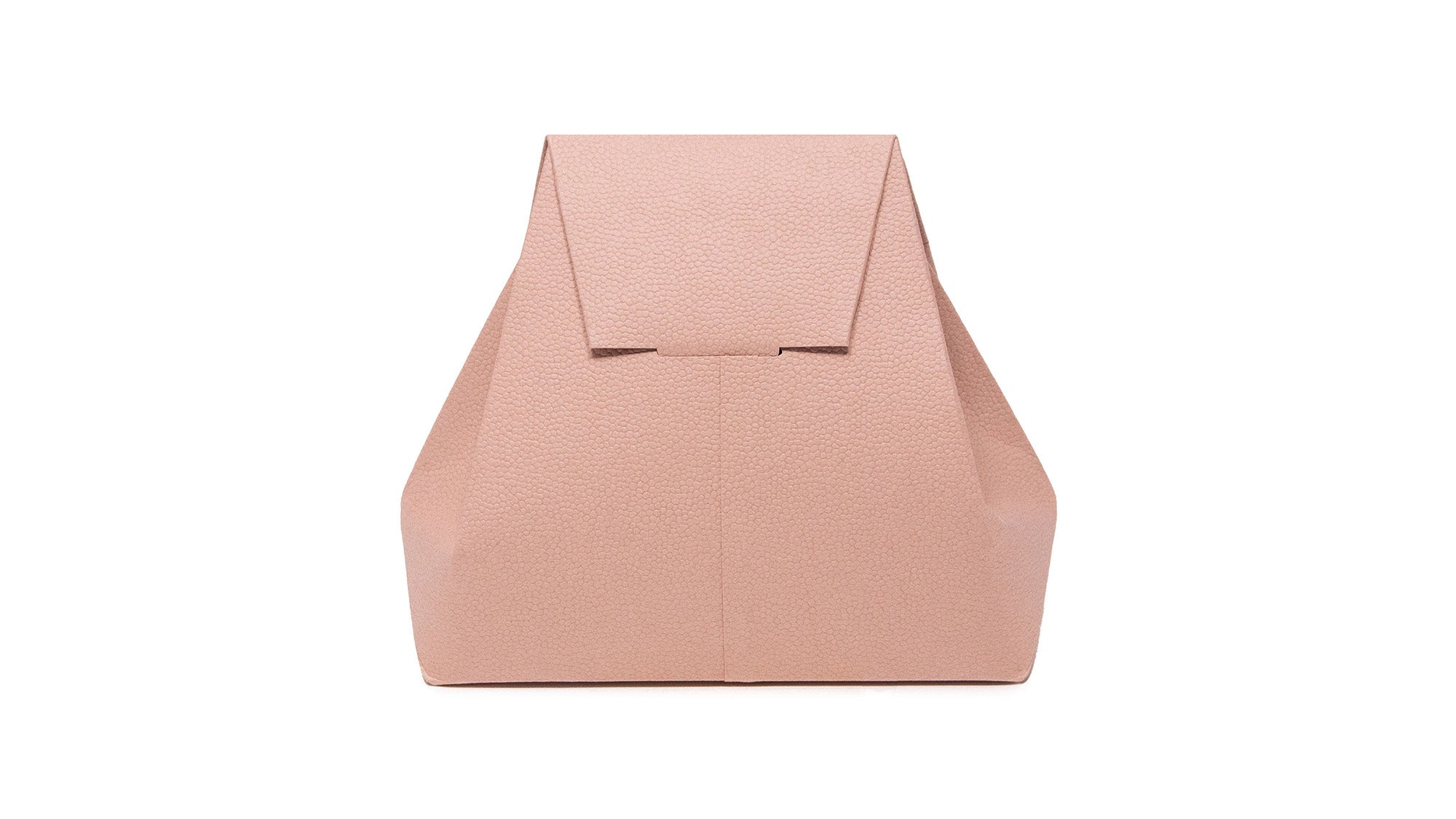 A Paper Bag with the Presence of a Luxury Bag