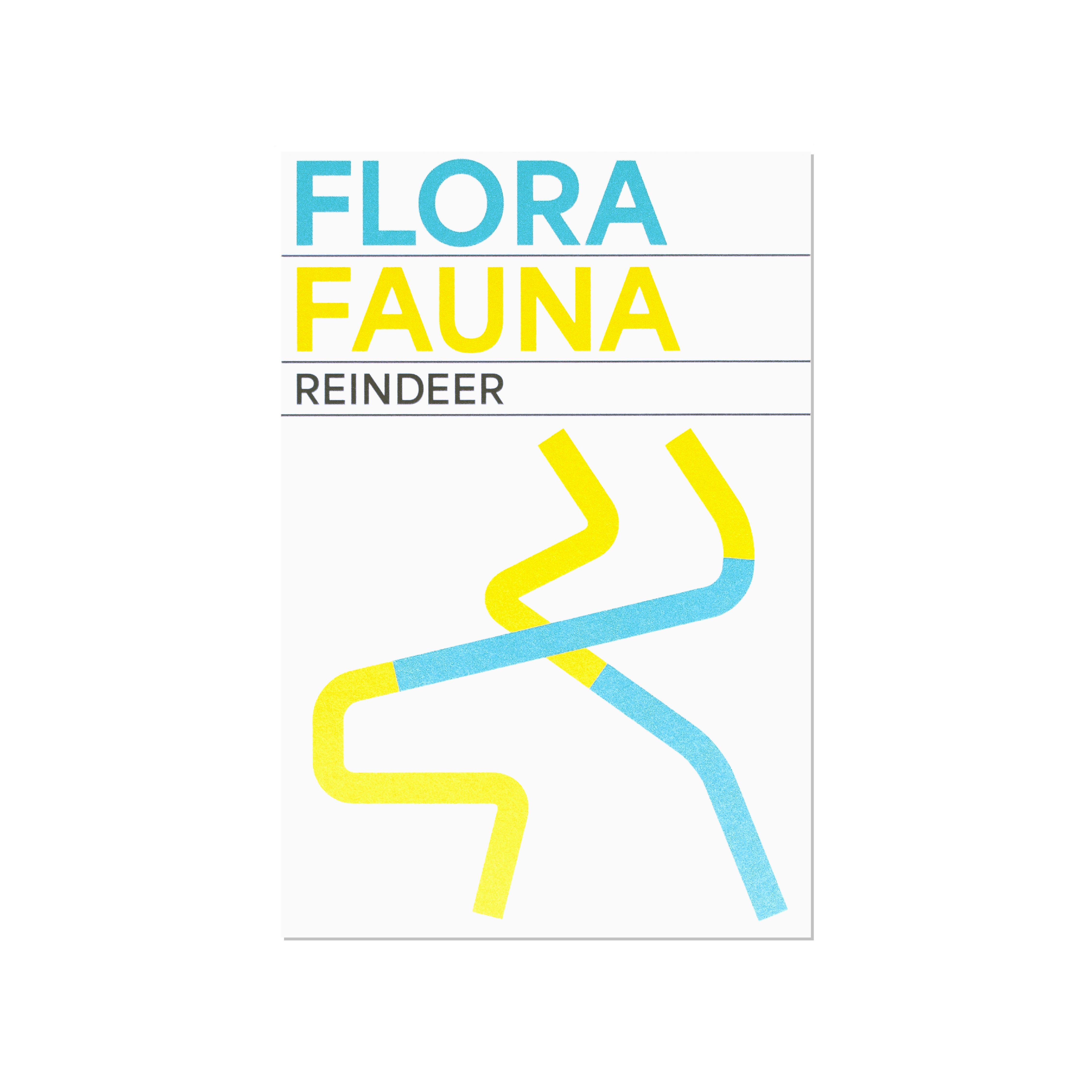 Postcard "FLORA FAUNA"