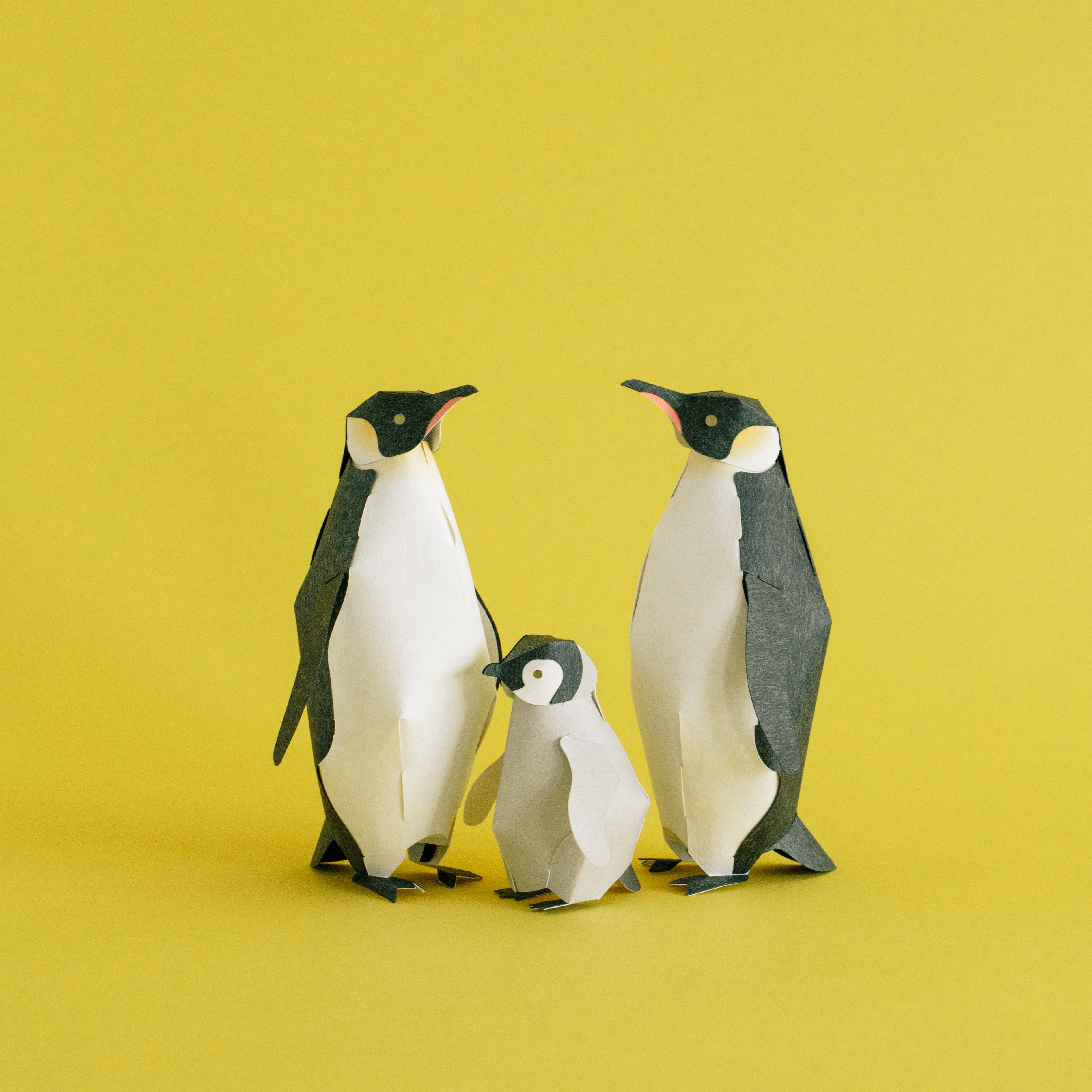 TOP TO TAIL PENGUIN