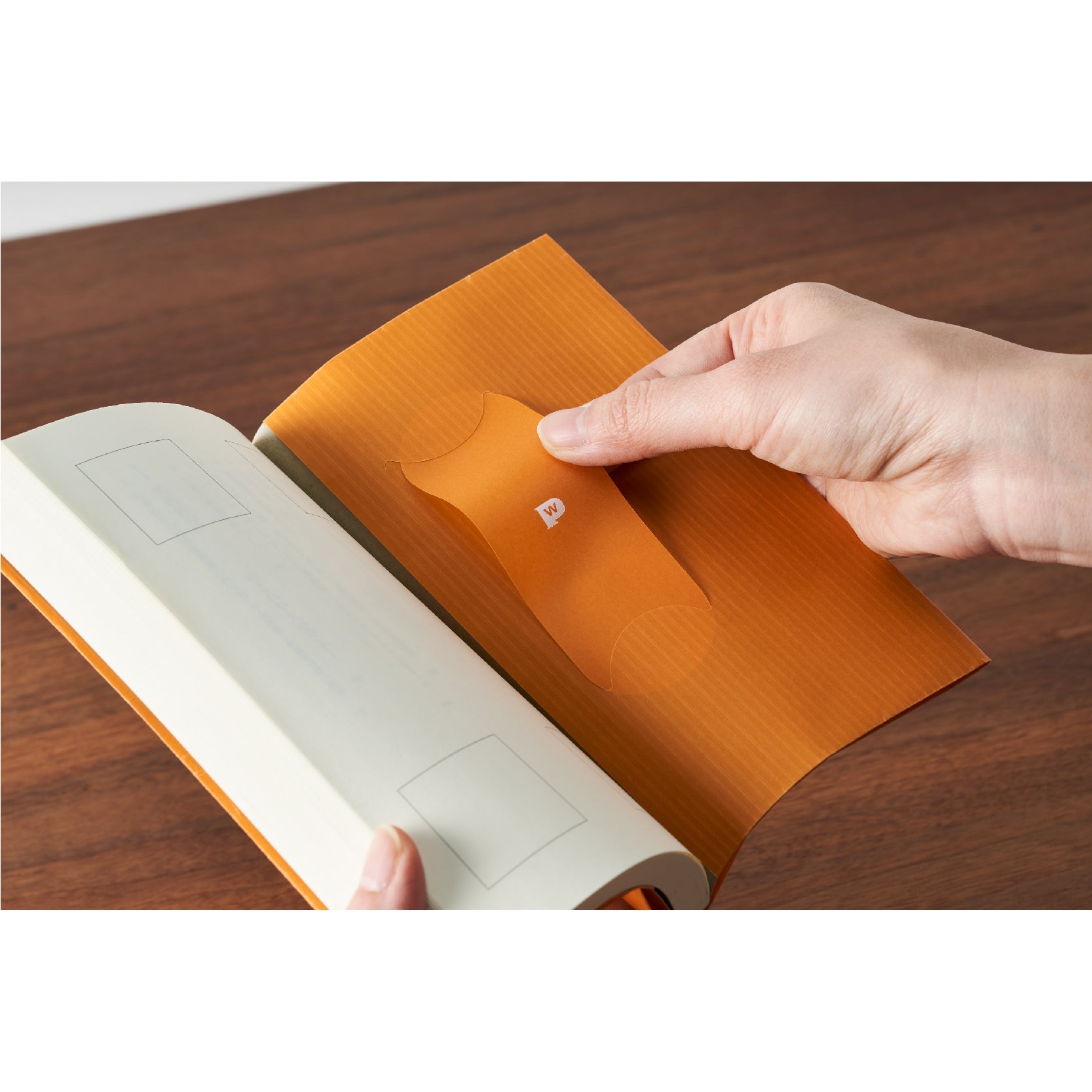 Wax Paper Book Cover