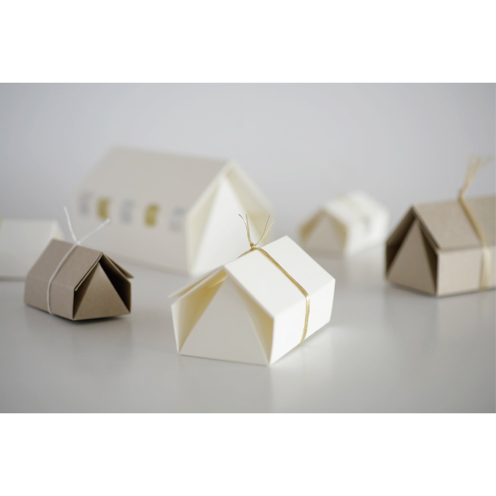 Ie Rokkaku - Hexagonal House -