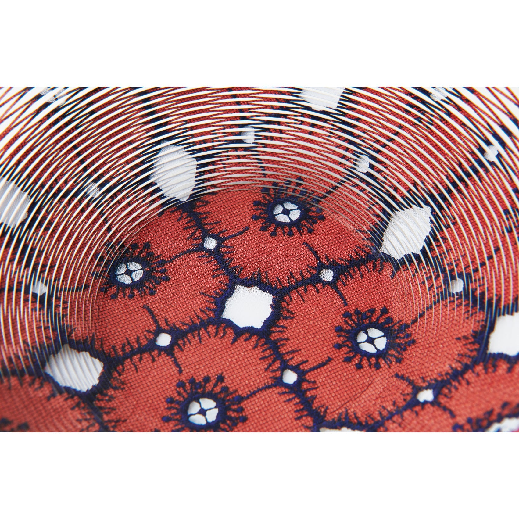 airvase tambourine/anemone by minä perhonen