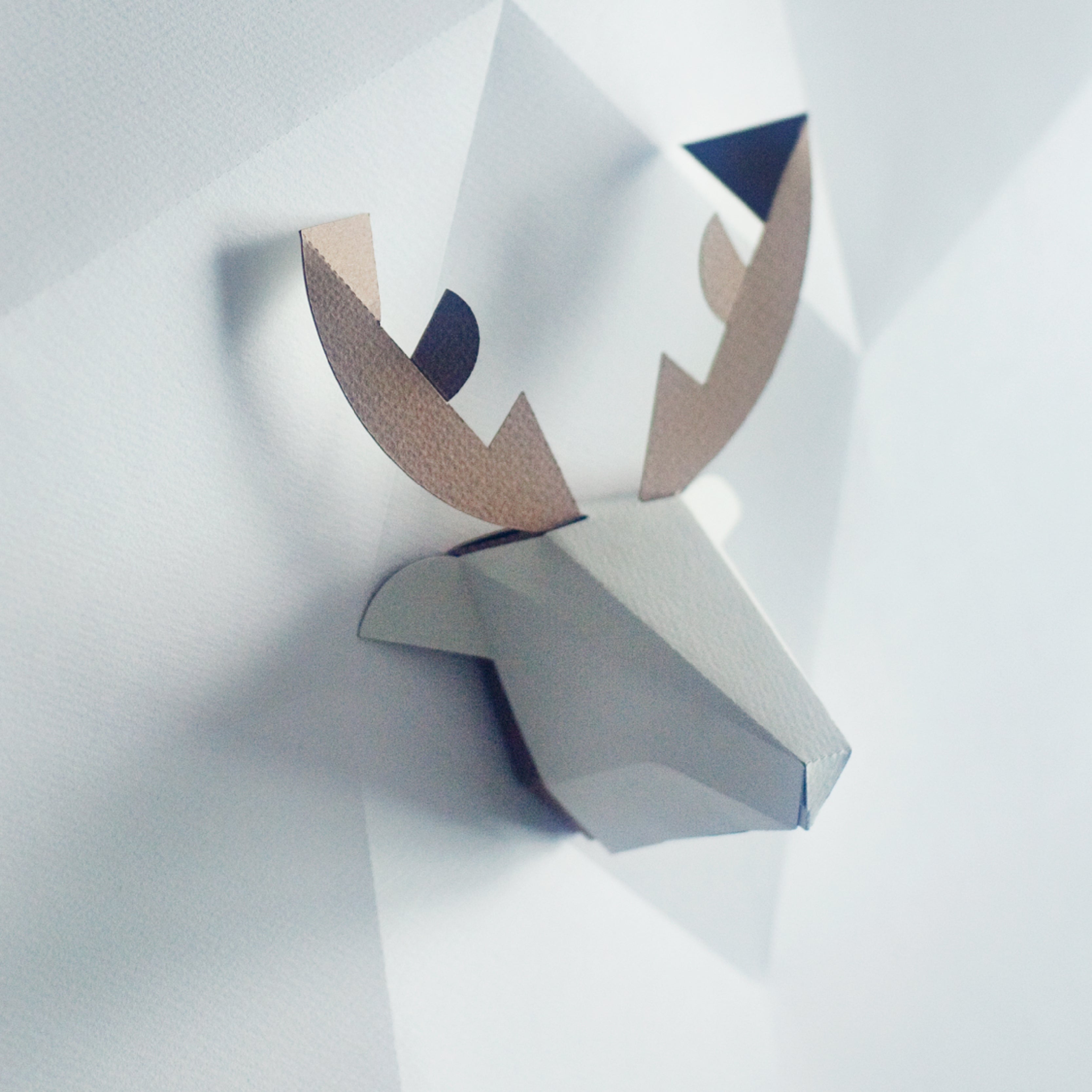 head box deer / シカ