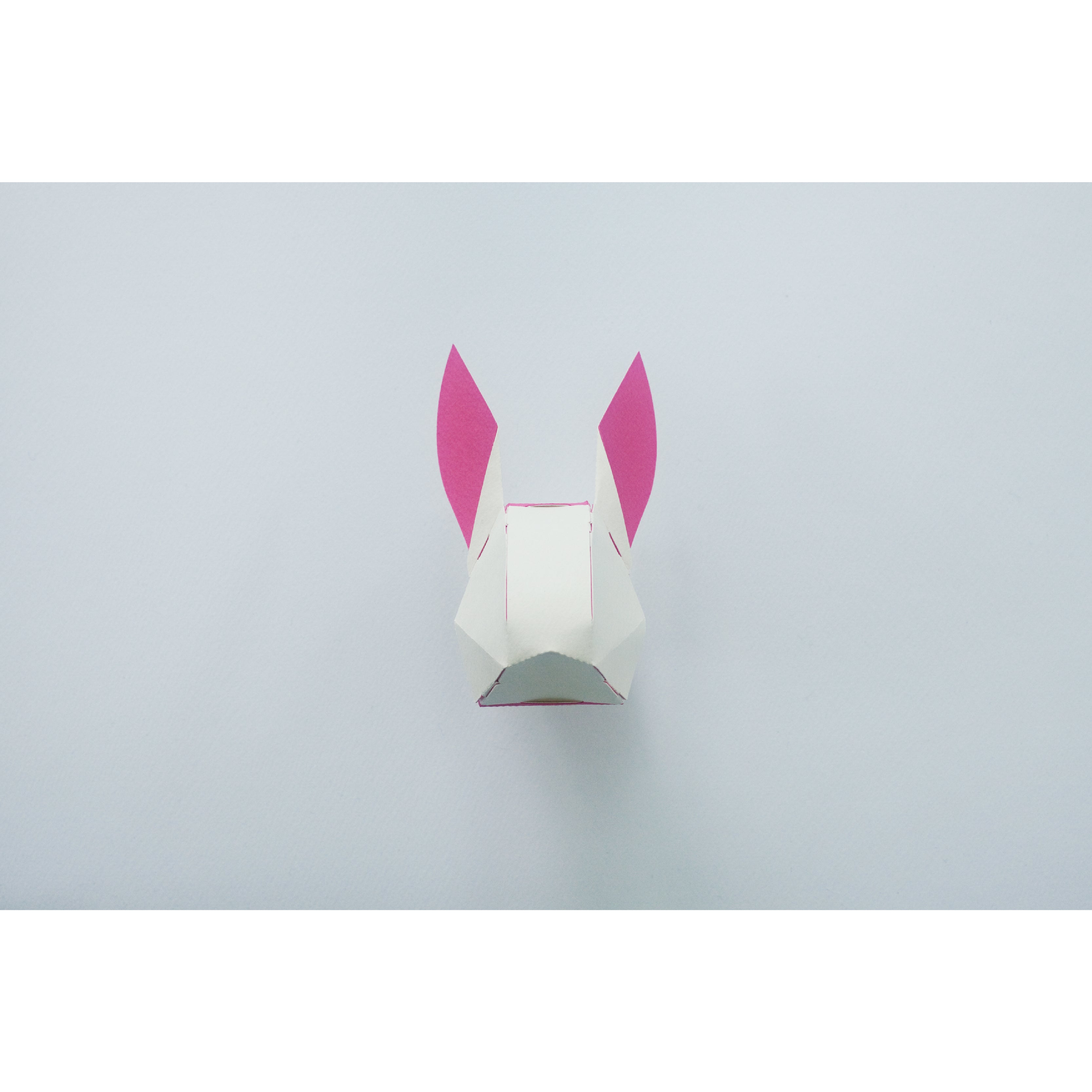 head box rabbit